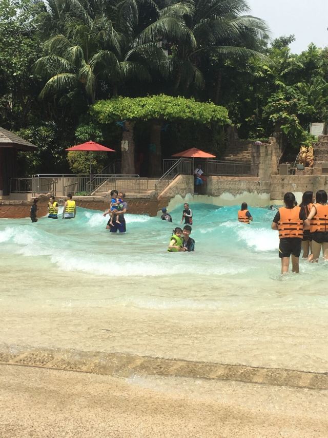 Adventure Cove Waterpark
