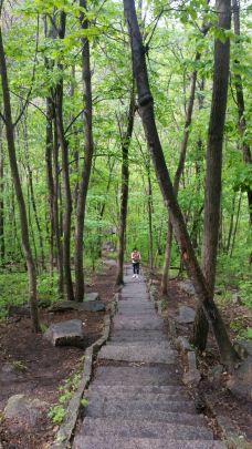 猴石国家森林公园-新宾-Gavinly