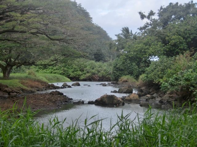 Waimea Valley