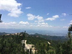 银川游记图片] 快乐“放羊”人（下篇）