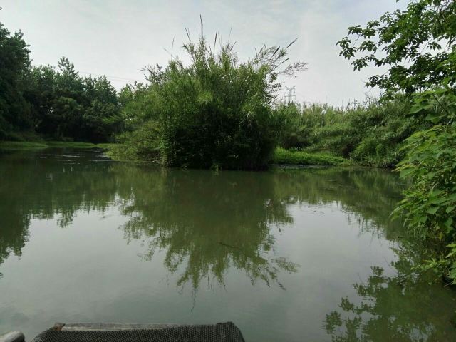 Shajiabang Scenic Area