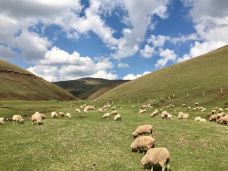 大海草山-会泽-YoYo_8F7A4K1J