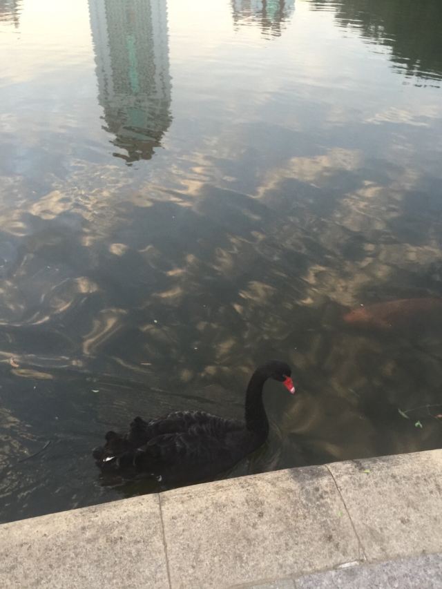 廈門大學