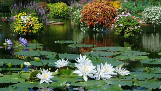 草津市立水生植物公園水之森
