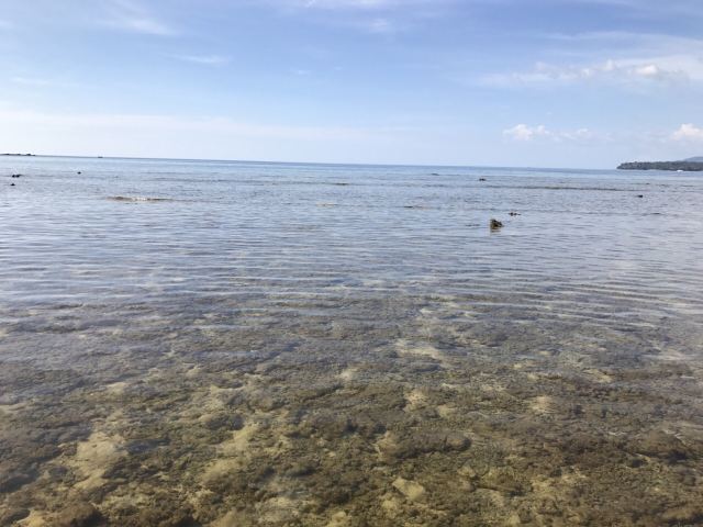 Kamala Beach