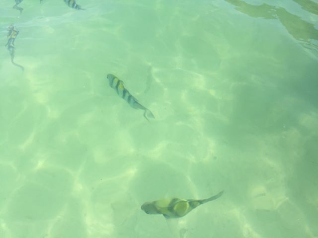 Poda Island