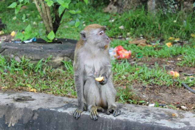 Batu Caves