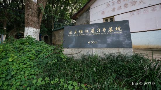 馬王堆漢墓