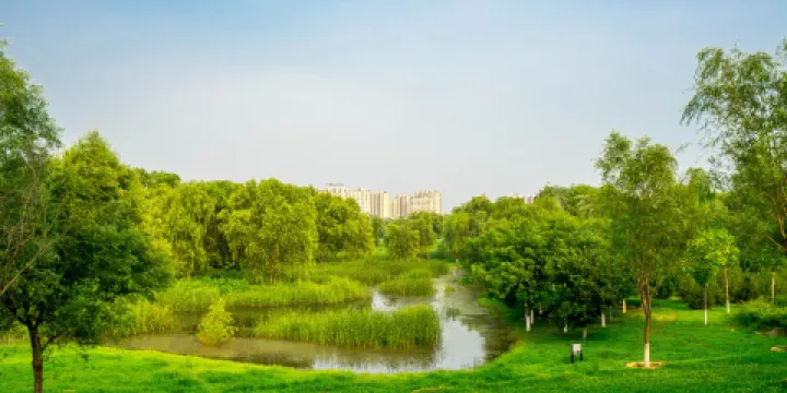 白浮泉公園森林牧场