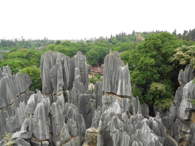 Stone Forest