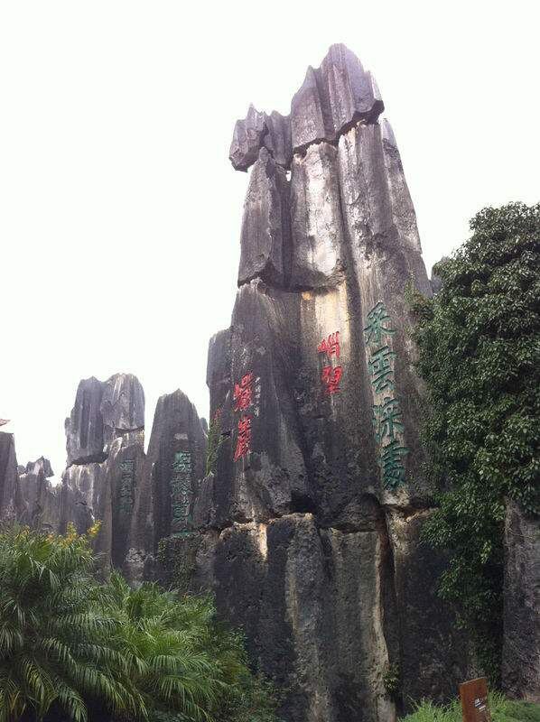 Stone Forest