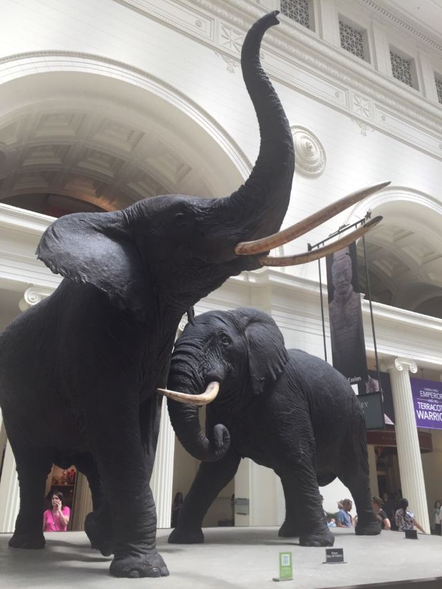The Field Museum