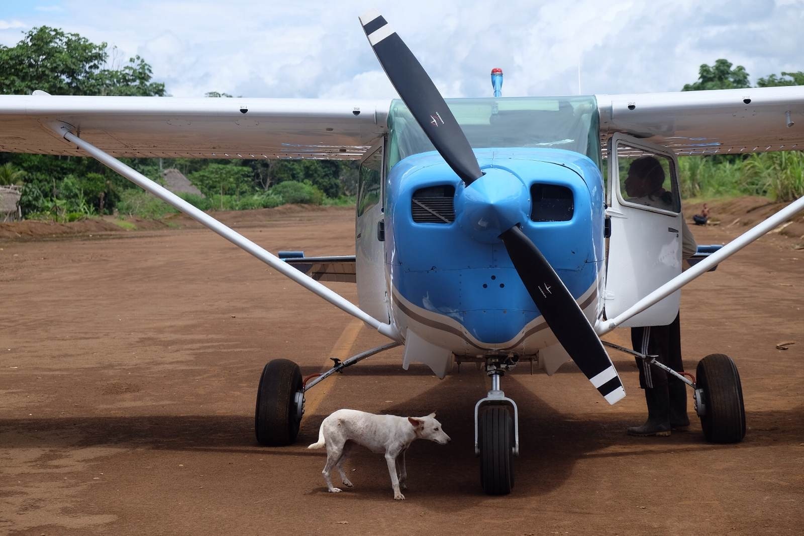（长篇4）降落Achuar部落机场 有人和狗来接我们