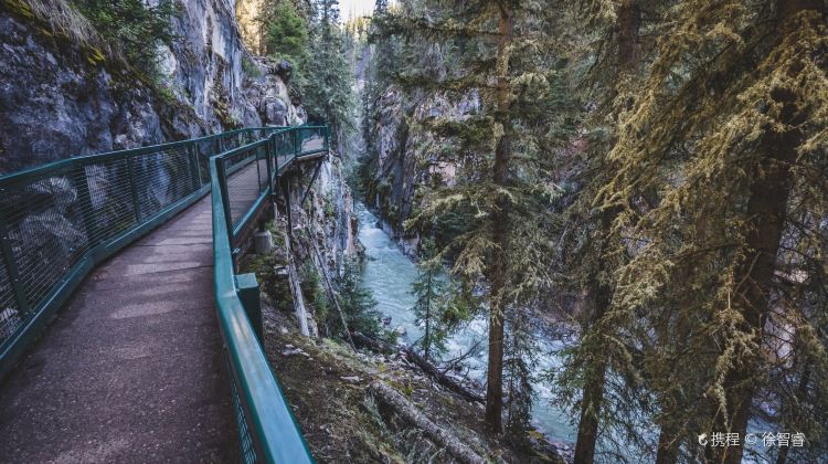 6-Day Canadian Tour from Vancouver·Vancouver Free Day | Banff, Yoho, Johnston Canyon, Lake Louise | Free Airport Transfer