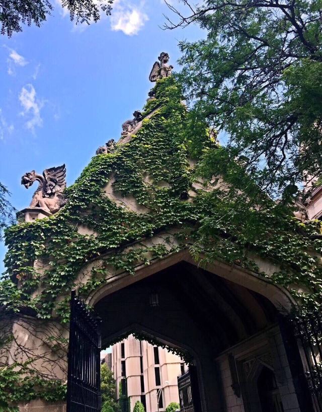 The University of Chicago