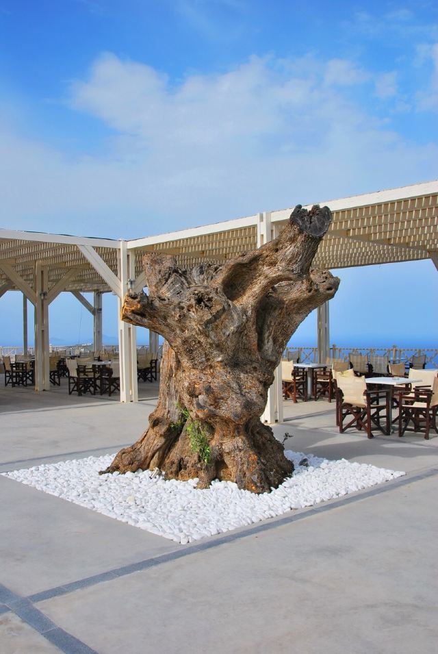 Pyrgos