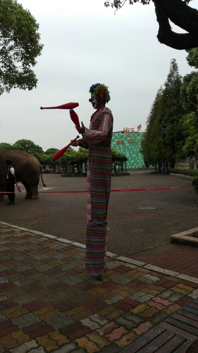 상하이 야생 동물원