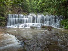 横县中华茉莉园+花茶市特产中心+中国茉莉花茶展览馆+九龙瀑布群国家森林公园一日游