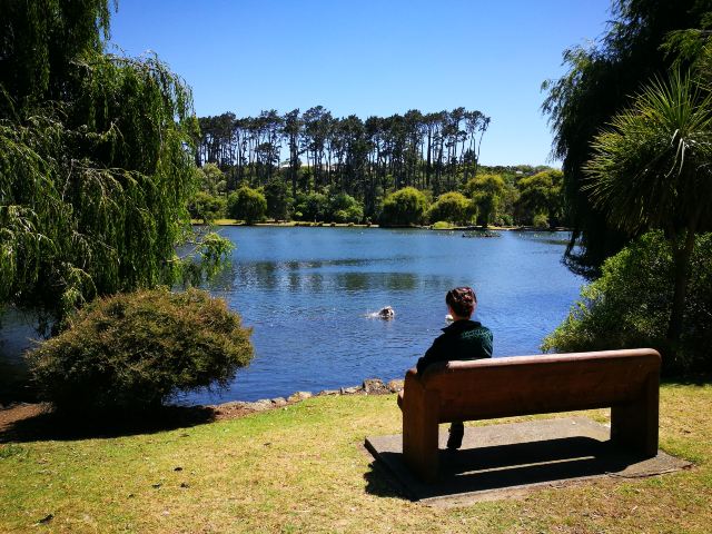 Western Springs Lakeside Park