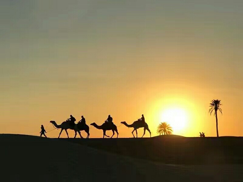 撒哈拉沙漠日落