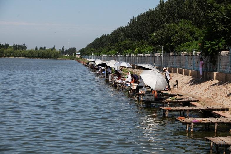 燕王湖湿地生态园