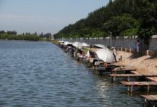 燕王湖湿地生态园景点图片