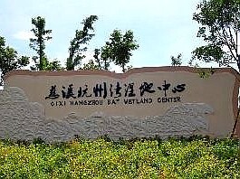 【隔山之兰】回归最原始的美~杭州湾湿地公园