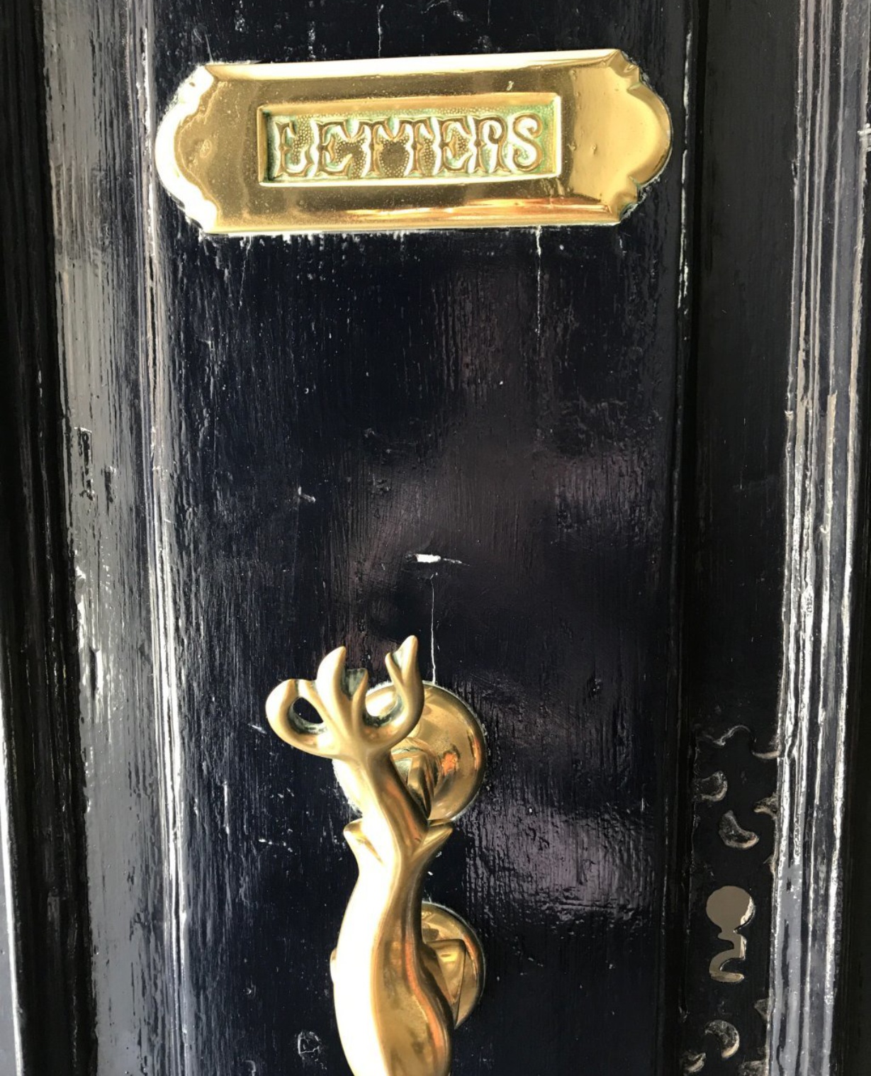 Fior Di Latte餐厅图片