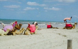 Holiday beach