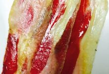 La Fromagerie Cheese & Wine Bistro购物图片