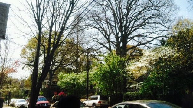 Dakota Blue餐厅图片