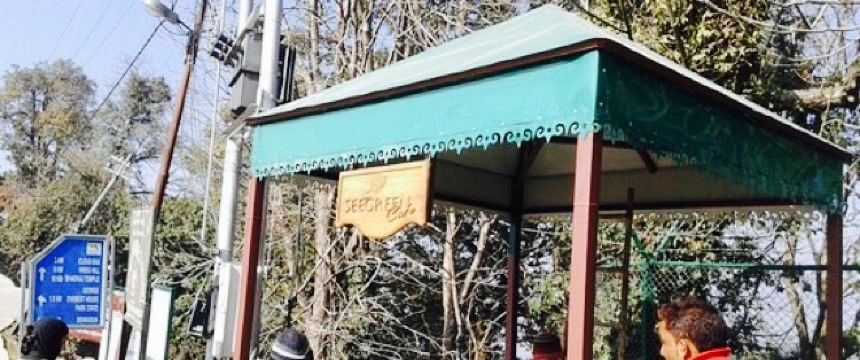 Seegreen Cafe餐厅图片