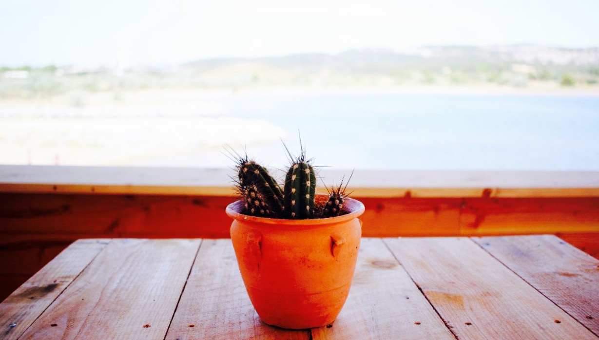 Mamamouchi餐厅图片