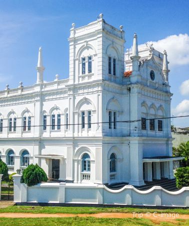 7天6晚 • 可倫坡Colombo＋美蕊沙出海賞鯨＋雅拉國家公園Safari＋茶山＆海邊雙火車＋獅子岩＋康提＋佛牙寺＋加勒＋高蹺漁夫＋海龜保育中心