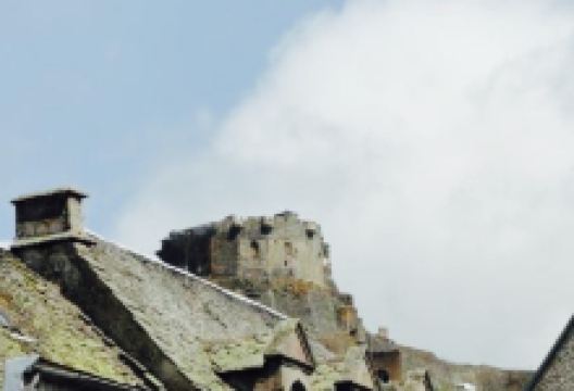 Au Montagnard美食图片