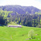 Auberge du Tanet "Seestaedtle"