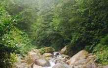 Andon Memisoglu Dinlenme Tesisleri餐厅图片