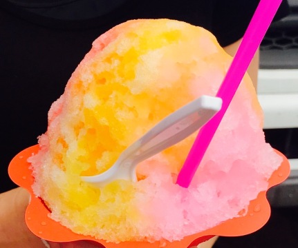 Fujino Shave Ice LLC