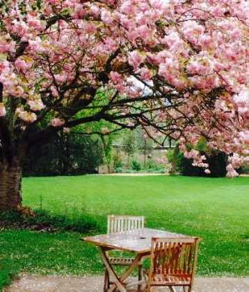 The Peacock at Rowsley Restaurant