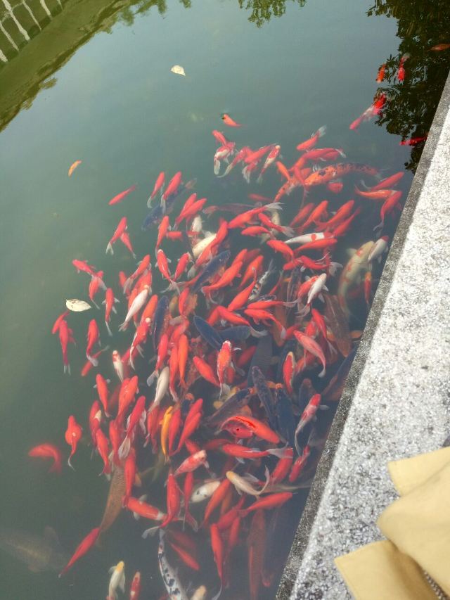 디수이둥