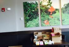 Starbucks美食图片