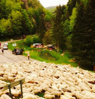 La Peche a la Truite