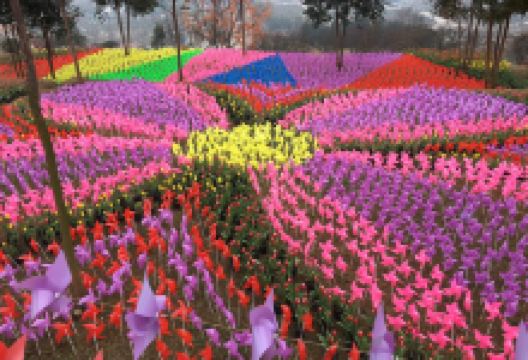 一只酸奶牛(彭州置信店)美食图片