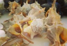 Raco del Port美食图片