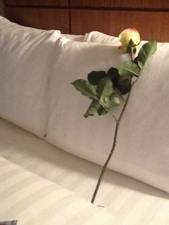 Cafe Quito餐厅图片