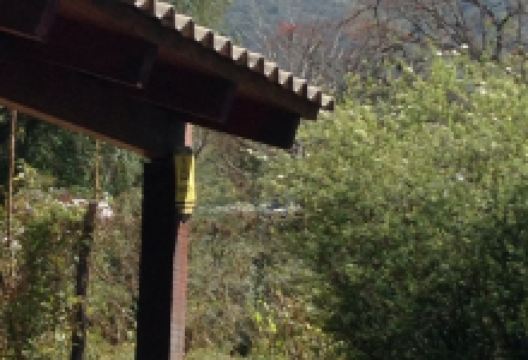 Don Sanca美食图片