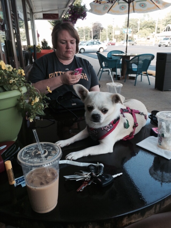 Brew Ha Ha at The Colony餐厅图片