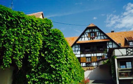 Emmebuckel
