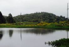 Paradouro Fortaleza美食图片