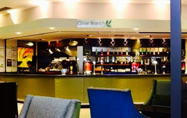 The Olive Tree